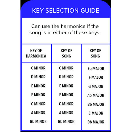 Harmonica diatonique HOHNER Penta Harp C Mineur